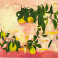 Lemonade Rose